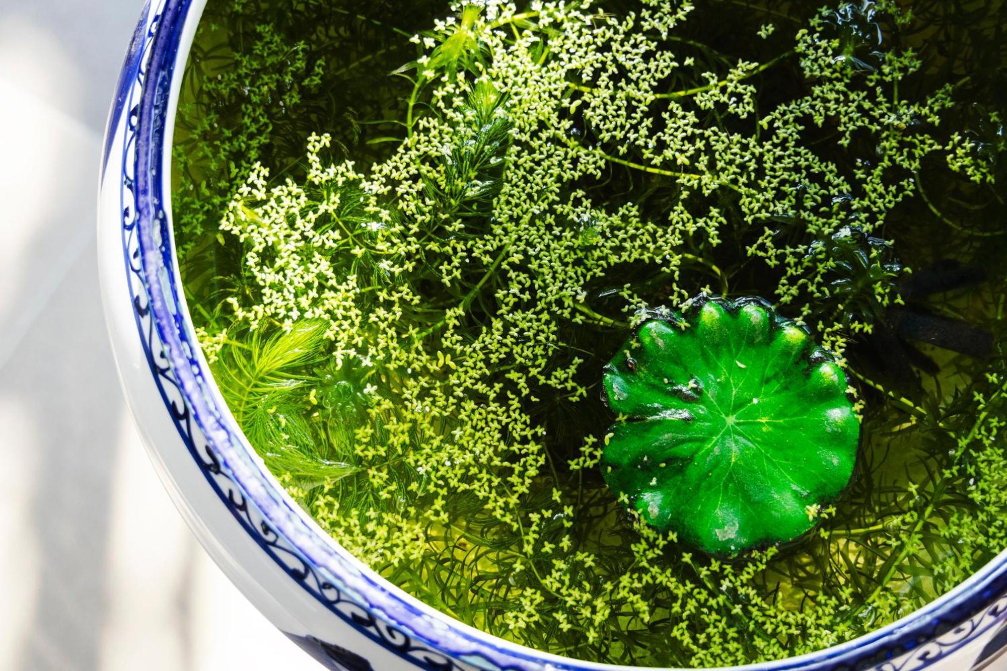 Ryokan Marumo Tottori Zewnętrze zdjęcie